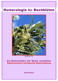 Cover Numerologie für Bachblüten