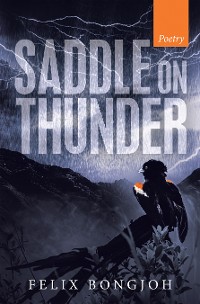Cover Saddle on Thunder