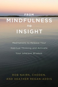 Cover From Mindfulness to Insight