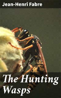 Cover The Hunting Wasps