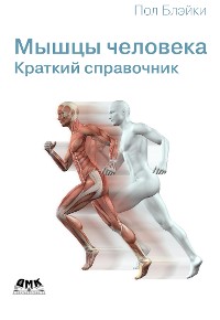 Cover Мышцы человека. Краткий справочник