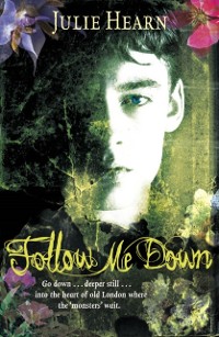 Cover Follow Me Down