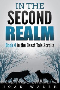 Cover In the Second Realm