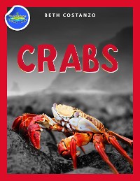Cover Crab Activity Workbook for Kids ages 4-8