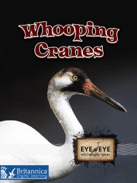 Cover Whooping Cranes