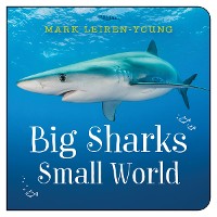 Cover Big Sharks, Small World