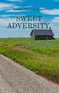 Cover Sweet Adversity