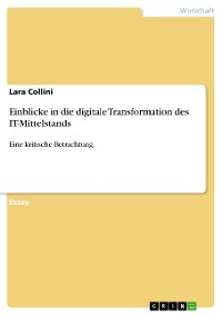 Cover Einblicke in die digitale Transformation des IT-Mittelstands