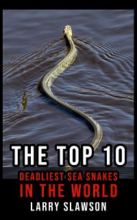 Cover The Top 10 Deadliest Sea Snakes in the World