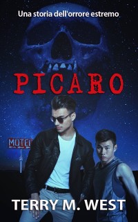 Cover Picaro