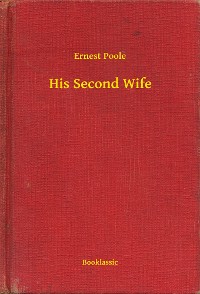 Cover His Second Wife