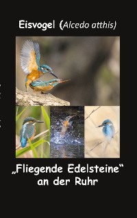 Cover Eisvogel (Alcedo atthis)