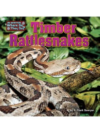 Cover Timber Rattlesnakes