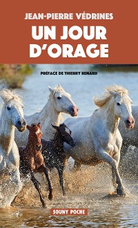 Cover Un Jour d'orage