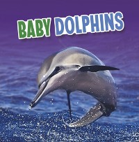 Cover Baby Dolphins