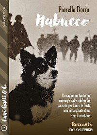 Cover Nabucco