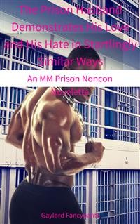 Cover The Prison Husband Demonstrates His Love and His Hate in Startlingly Similar Ways