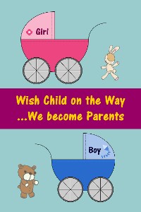Cover Wish Child on the Way...We become Parents
