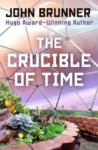Cover Crucible of Time