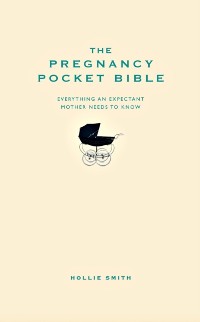 Cover Pregnancy Pocket Bible