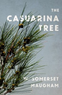 Cover Casuarina Tree