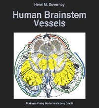 Cover Human Brainstem Vessels