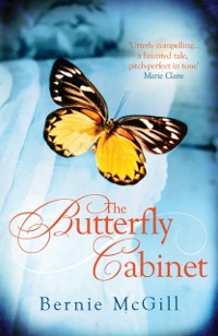 Cover Butterfly Cabinet