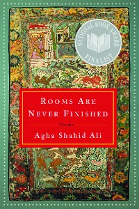 Cover Rooms Are Never Finished: Poems