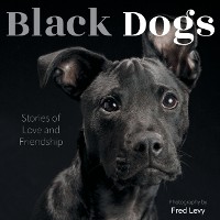 Cover Black Dogs