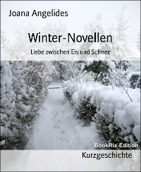 Cover Winter-Novellen