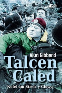 Cover Talcen Caled