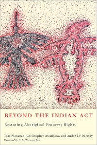 Cover Beyond the Indian Act