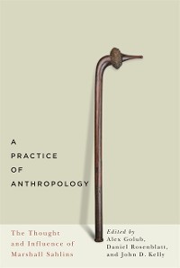 Cover Practice of Anthropology