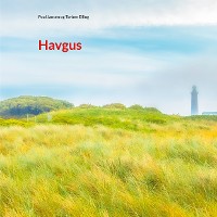 Cover Havgus