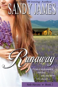 Cover Runaway (Safe Havens 2)