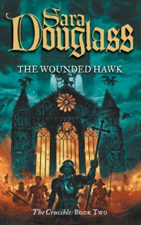 Cover Wounded Hawk