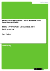 Cover Small Hydro Plant Installation and Performance