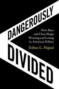 Cover Dangerously Divided