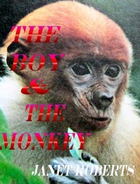 Cover Boy & The Monkey