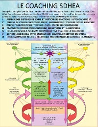 Cover Cours de coaching thérapeutique SDHEA