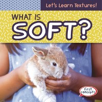 Cover What Is Soft?