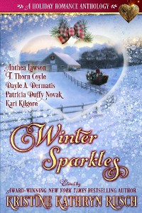 Cover Winter Sparkles