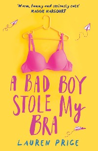 Cover A Bad Boy Stole My Bra