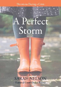 Cover A Perfect Storm