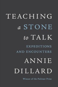 Cover Teaching a Stone to Talk