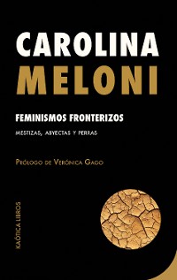 Cover Feminismos fronterizos