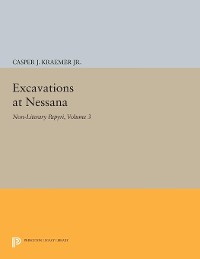 Cover Excavations at Nessana, Volume 3