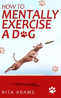 Cover How to mentally exercise a dog