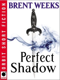 Cover Perfect Shadow