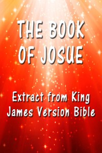 Cover The Book of Josue